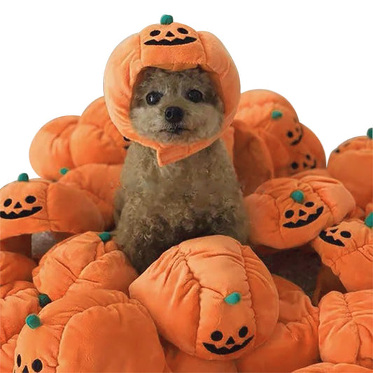Cute Pet Hat Halloween